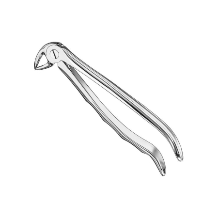 Extracting forceps, anat.